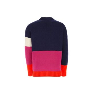 SS21 Colorblock Logo Rundhalsad Långärmad Blå